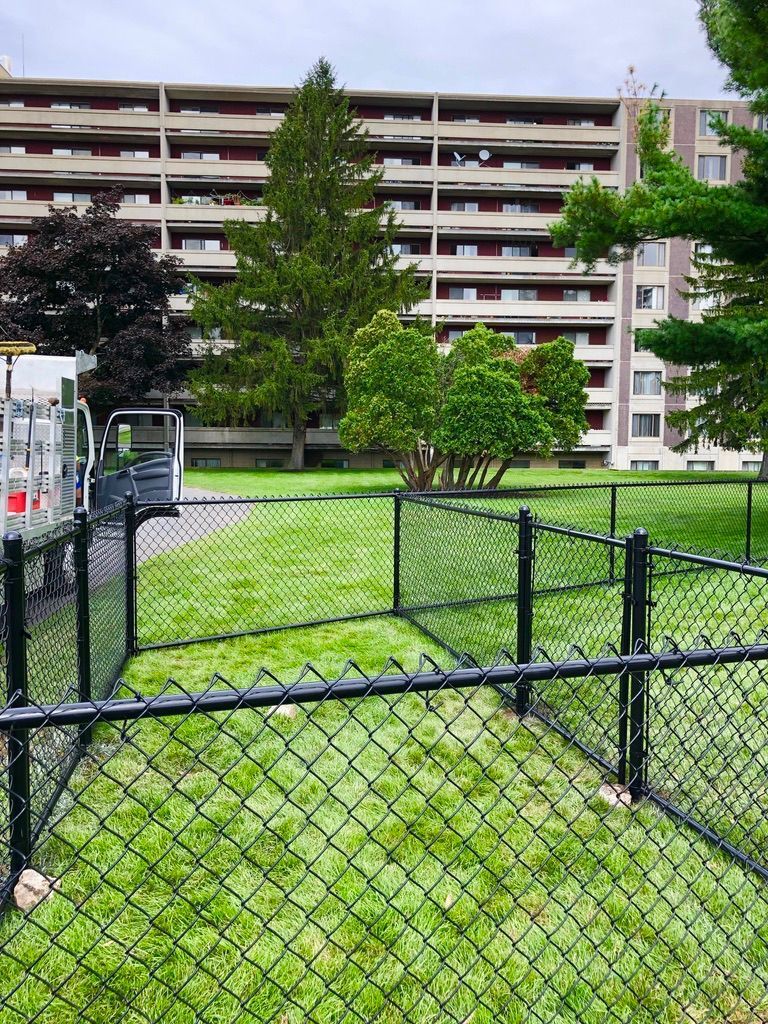 Black chain link fence around a residential lawn